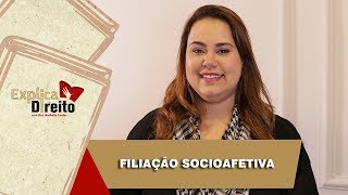 Explica Direito Filiação Socioafetiva  2019 [upl. by Anilev826]