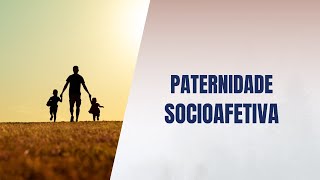 Paternidade socioafetiva [upl. by Narik]