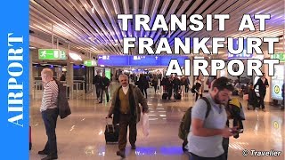 TRANSIT WALK AT FRANKFURT Airport FRA Terminal 1  Connection Flight Transfer Arriving amp Departing [upl. by Emersen223]